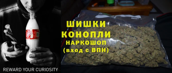 спиды Бородино