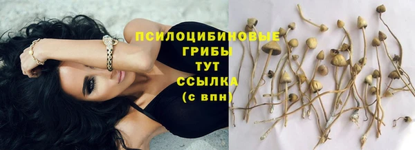 спиды Бородино