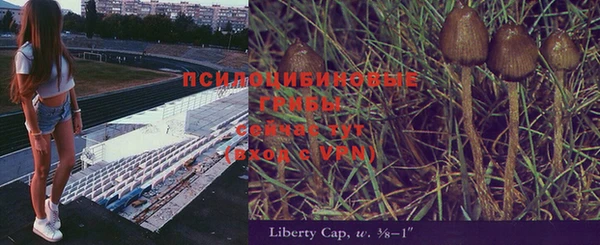 спиды Бородино