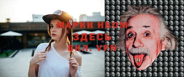 спиды Бородино