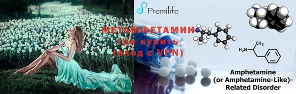 спиды Бородино